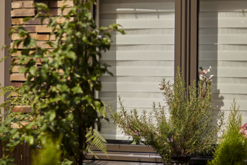 2023 Tuinhalima Z9A8825