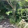 gallery-thumb-12