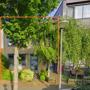 gallery-thumb-12