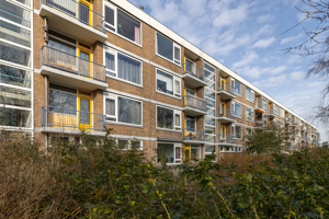 Eleanor Rooseveltlaan