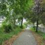 gallery-thumb-4