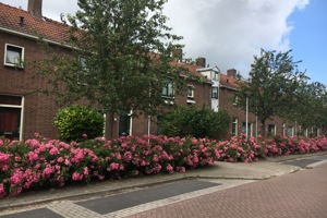 20190621 075649576 Ios