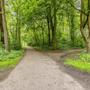 gallery-thumb-39