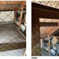 Huurwoning Anske Lammingastraat 11-1