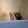 gallery-thumb-4