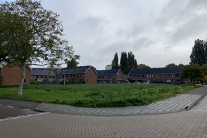 Appellaan Oktober 2025