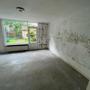 gallery-thumb-1