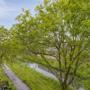 gallery-thumb-26