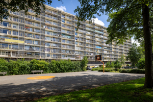 Bloeyende Wijngaerdt