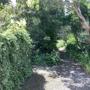 gallery-thumb-11